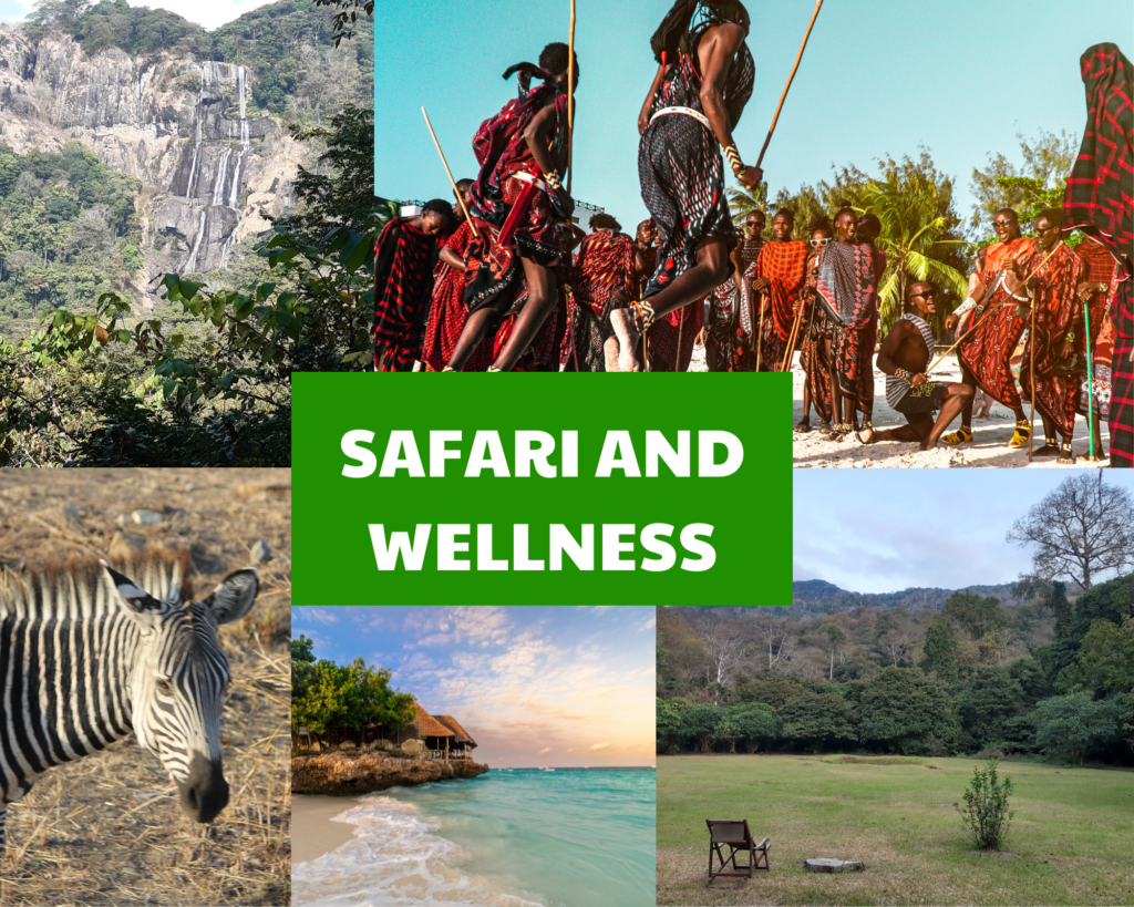 safari zanzibar wellness