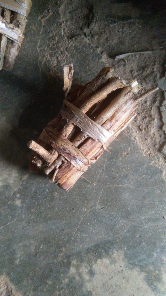 medicinal plant Tanzania