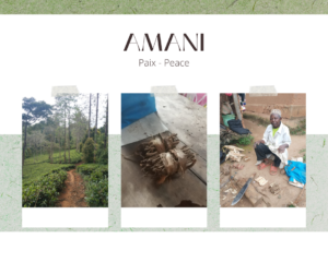 amani tanzania