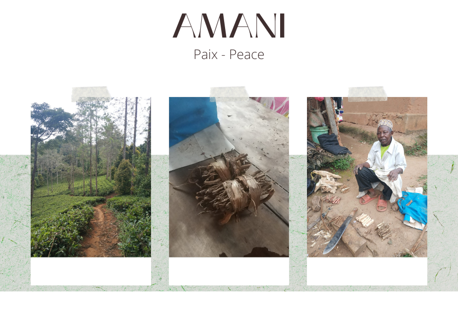 amani tanzania