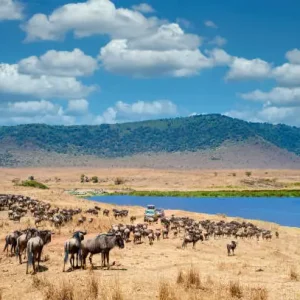 4 jours Safari express au cœur du nord Tanzanien