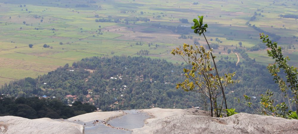 foreest mountains tanzania hike natural trail foreest mountains tanzania hike natural trail