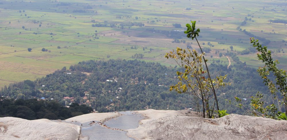 foreest mountains tanzania hike natural trail