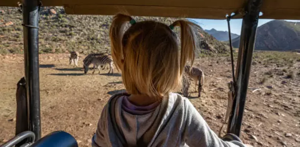 fille regardant animaux